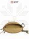 Fanny Pack HARPY LV 010620 фото 8